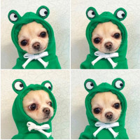 Cute Fruit Dog Clothes For Small Dogs Hoodies Winter Warm Fleece Pet Clothing Puppy Cat Costume Coat For French Chihuahua Outfit product 9