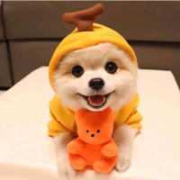 Cute Fruit Dog Clothes For Small Dogs Hoodies Winter Warm Fleece Pet Clothing Puppy Cat Costume Coat For French Chihuahua Outfit product 10