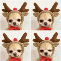 Cute Fruit Dog Clothes For Small Dogs Hoodies Winter Warm Fleece Pet Clothing Puppy Cat Costume Coat For French Chihuahua Outfit product 4