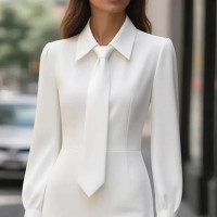 Women's Elegant Solid Color Belted Tie-Neck Office & Formal Occasions, Long Sleeve Spring Summer Midi Dress product 2