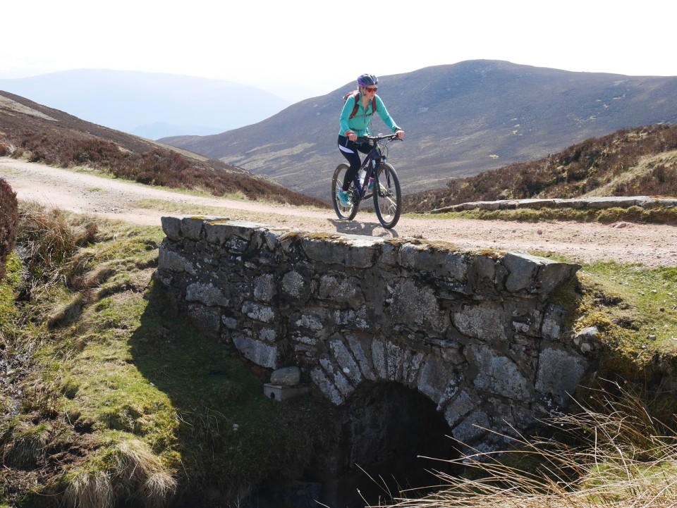 Bridge over the Burma Road, Aviemore