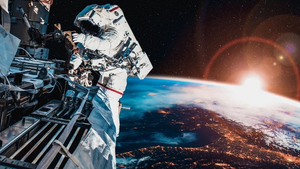 Herbal blend restores immune function in space-simulated rats - herbal blend