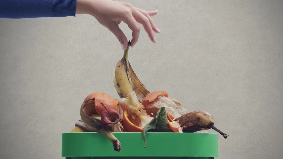 Nutrient-rich foods lost first worsen global hunger crisis - nutrient-rich foods lost