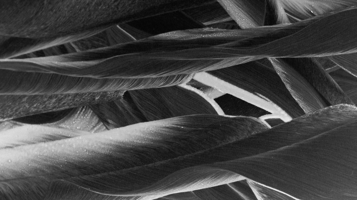 Alfa Romeo Unveils Carbon-Fiber Perla Nera Supercar Highly detailed monochrome close-up of fabric textures showing interwoven fibers.