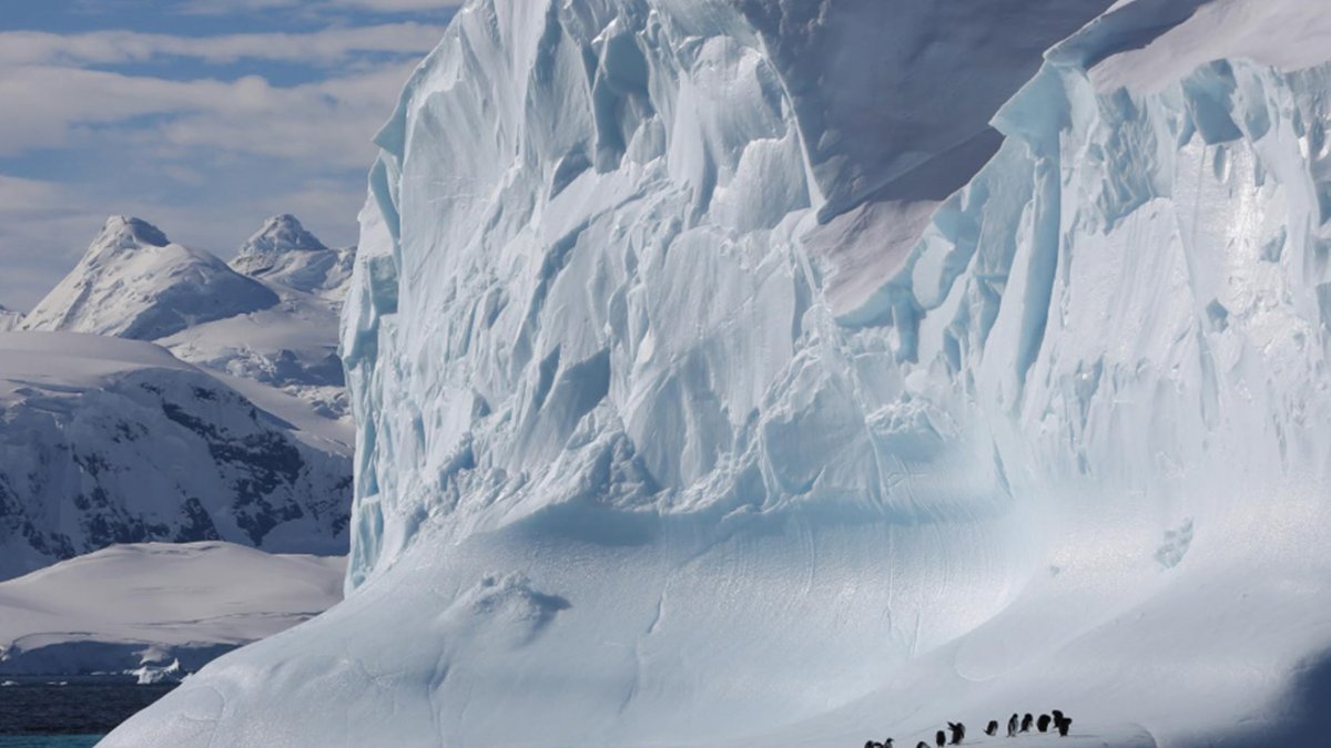 New tool tracks fossil fuel project damage