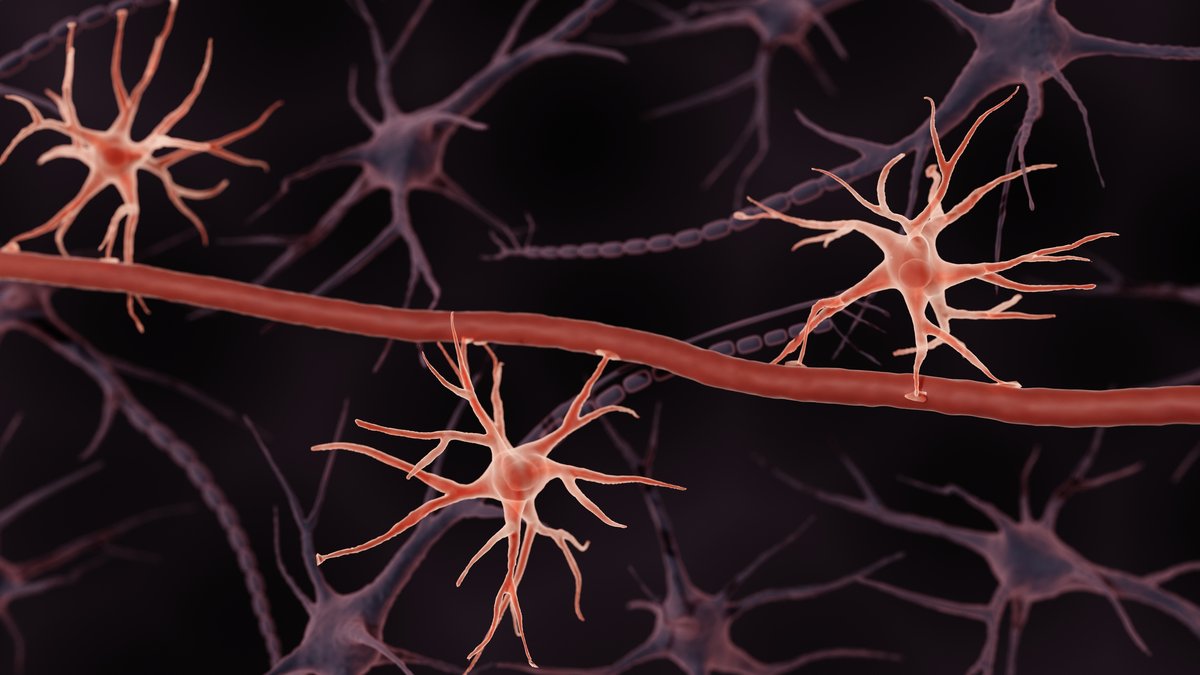 Astrocytes Identified as Key Driver in Childhood Epilepsy Disorder - childhood epilepsy