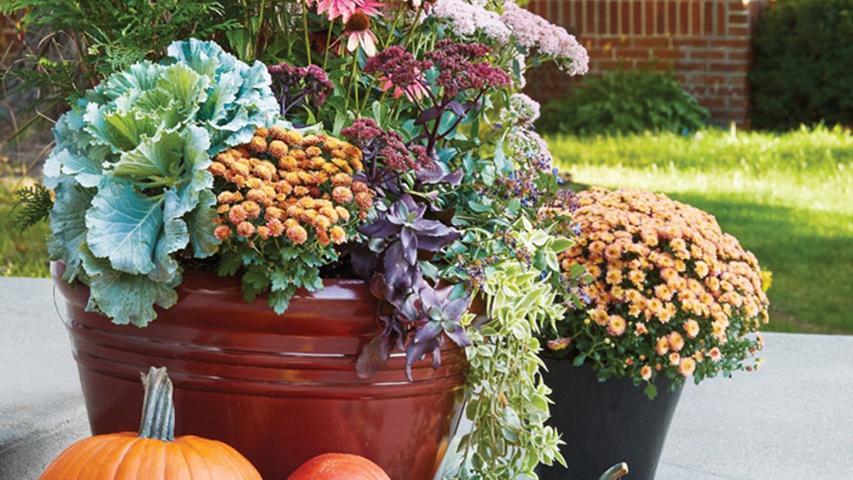 GG155 fall-container-lead: Perennials (and a shrub) pack this container, but it’s a good investment because you can plant the