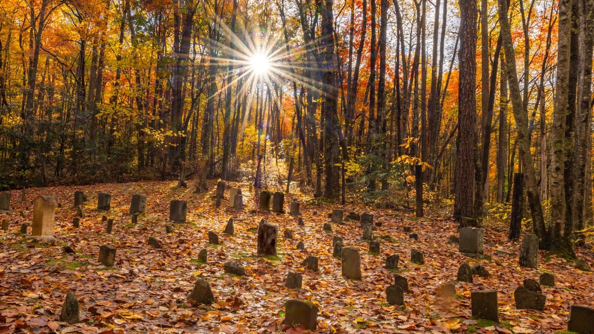 Cemetery hiking gains popularity as urban escape Cemetery hiking gains popularity as urban escape - cemetery hiking