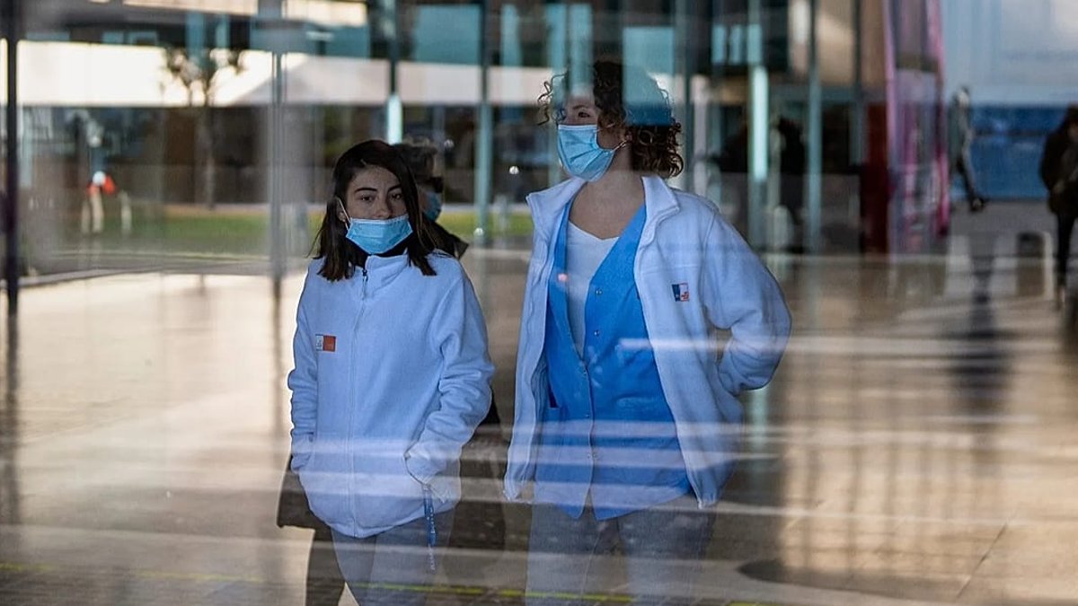 Plague bacterium still lurks in wild animals worldwide - plague bacterium