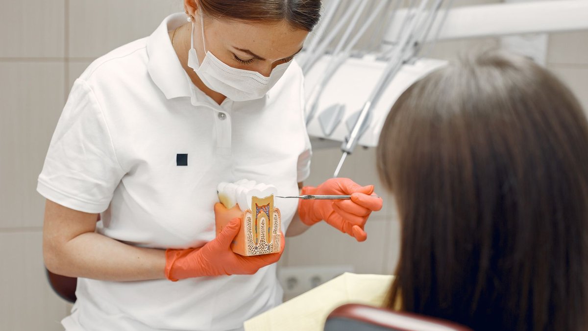 Dentist educates female patient using tooth model in a dental clinic.