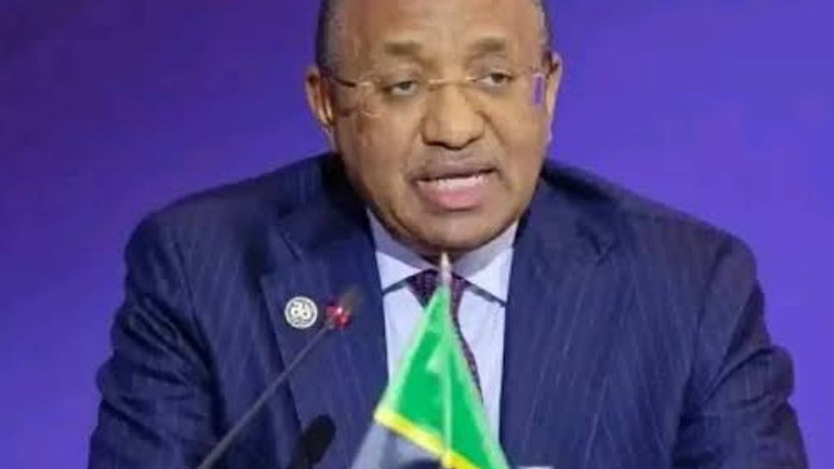 Tanzania and Serbia Sign Trade Revival Deal - tanzania serbia trade