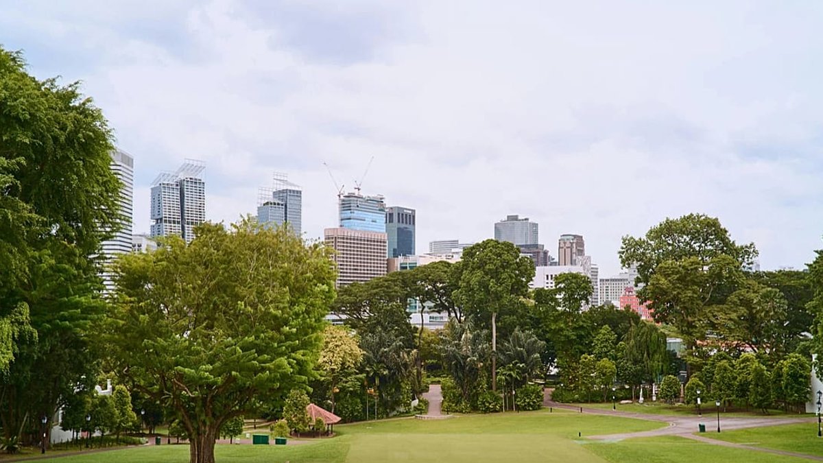 Green space linked to lower dementia risk - green space
