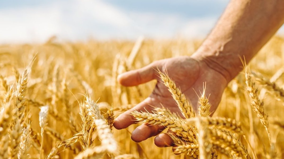 Active Muni ETFs Thrive Amid Tax Loss Harvesting Trends - active muni etfs