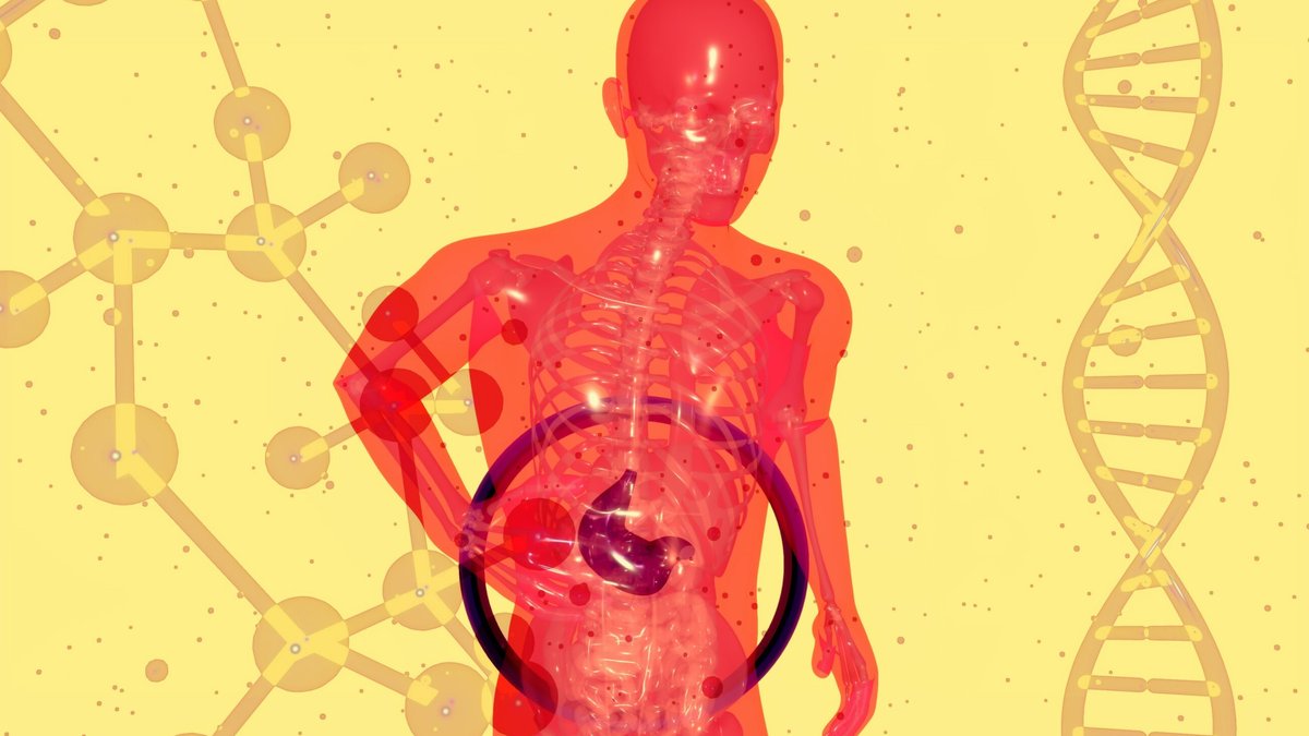 New Treatment Guidelines for Primary Biliary Cholangitis New Treatment Guidelines for Primary Biliary Cholangitis - pbc treatment guidelines