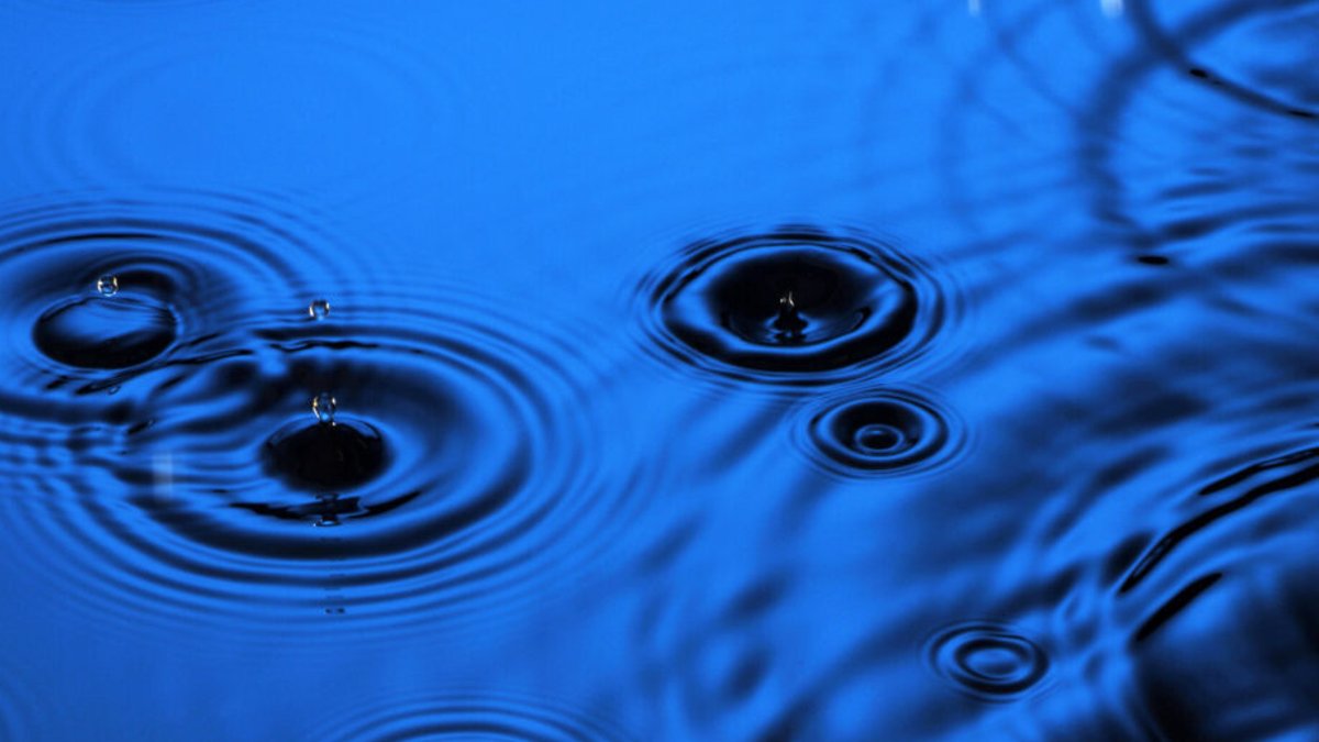 Most CEE businesses ignore water risks Most CEE businesses ignore water risks - water risks