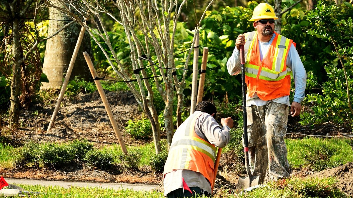 Hospitality workers find stability in landscaping careers Construction workers in reflective vests and hardhats working outdoors on a landscaping project.