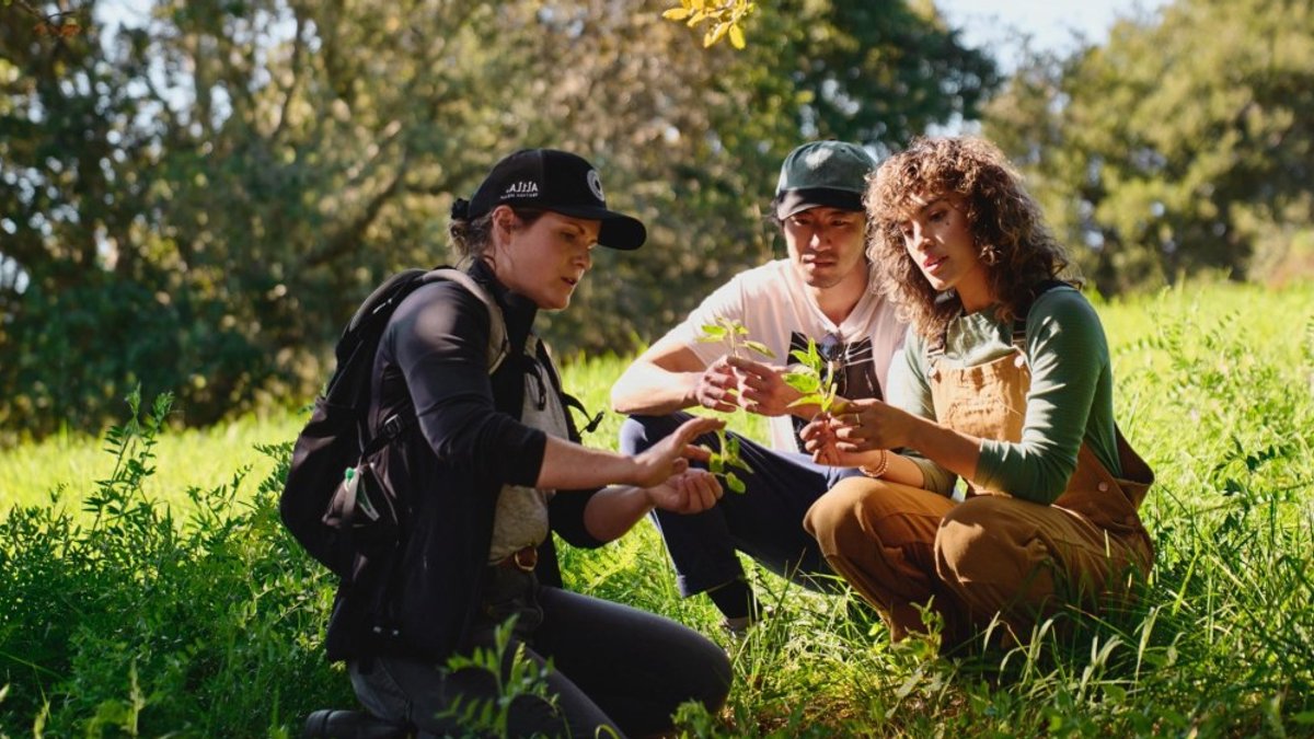 Resorts Offer Hands-On Fishing, Foraging, Cooking Experiences - resorts offer