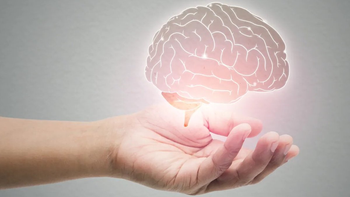 SourceOne Unveils LysOmega for Enhanced Brain, Eye Nutrient Delivery - nutrient delivery