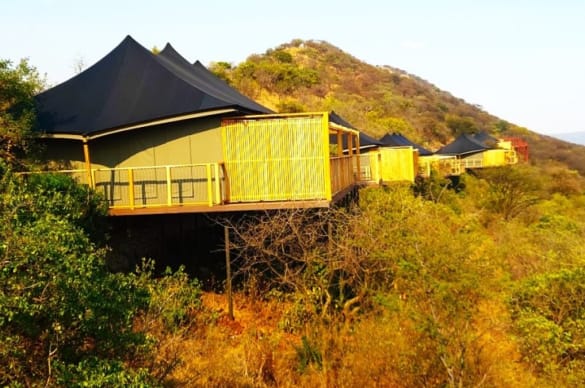 Luxury tented camp opens in Serengeti for migration views