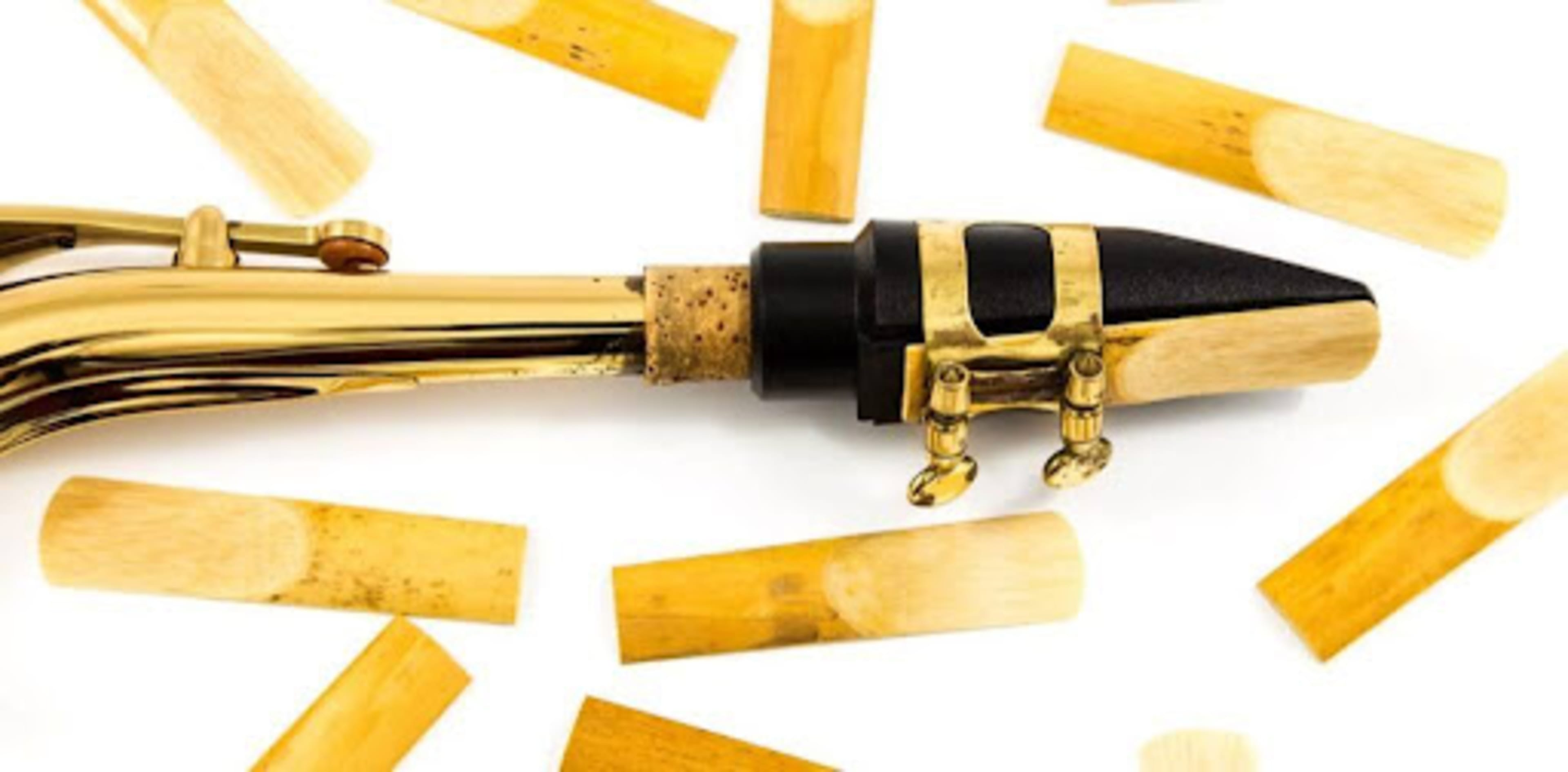 Giới thiệu các loại Reed (dăm) saxophone