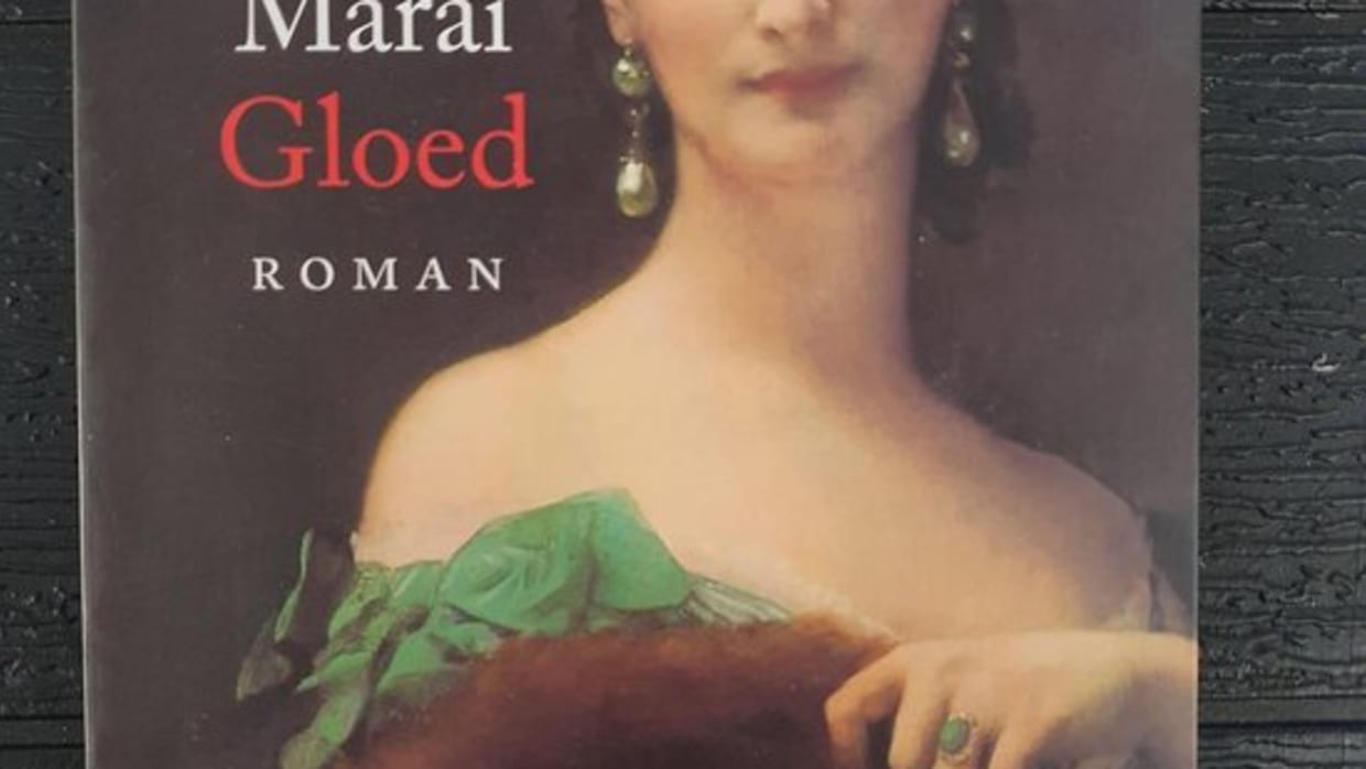 UB-boekentips | &lsquo;In Gloed wordt vriendschap tot in de kleinste details ontrafeld&rsquo;