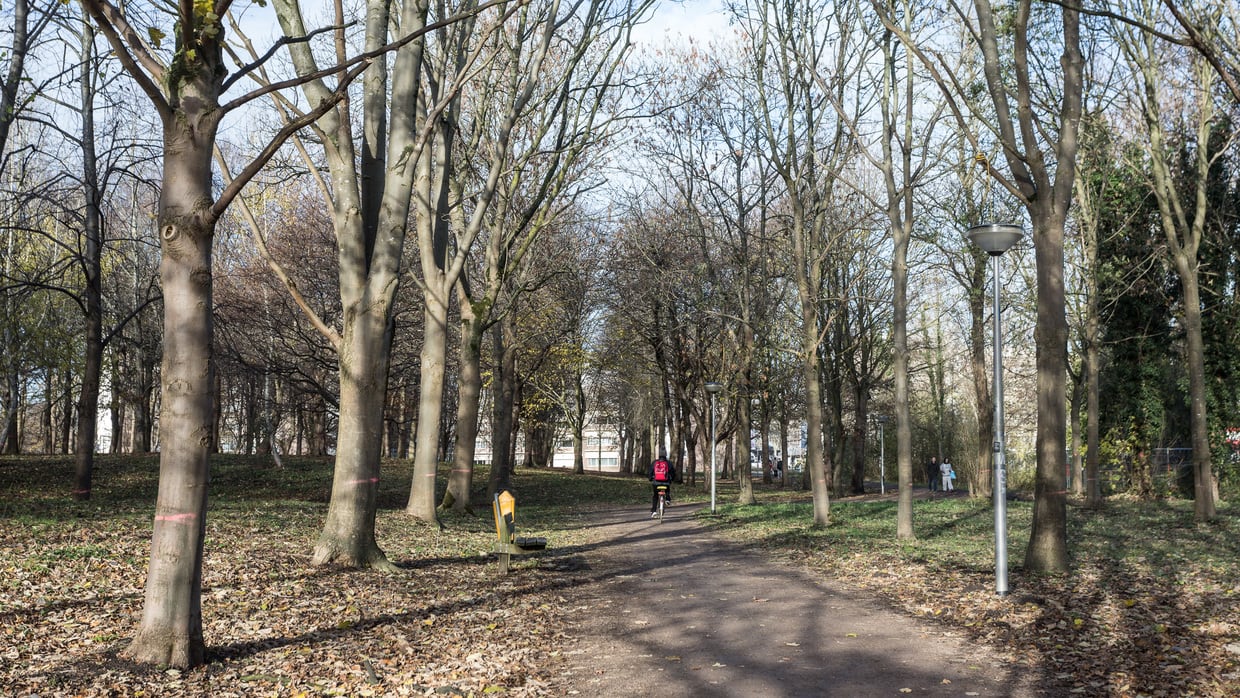 24-jarige man beroofd vlakbij studentencampus in Diemen