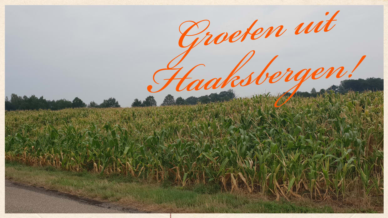 ‘Ik houd wel van veldwerk, lekker mijn handen vies maken’