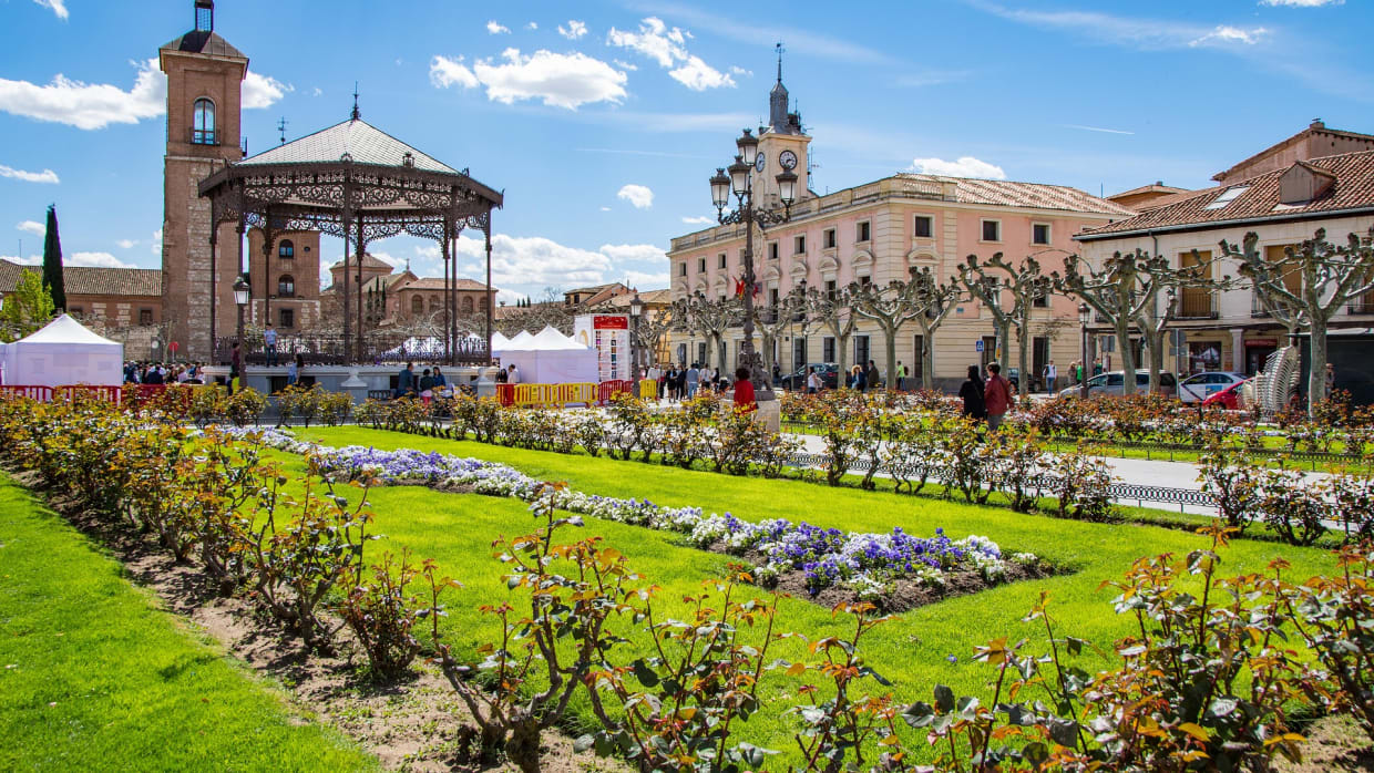 Het Alcalá de Henares van Bernice