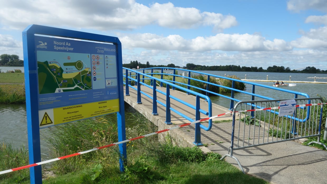 Zo veranderen UvA'ers meren vol blauwalg weer in veilig zwemwater
