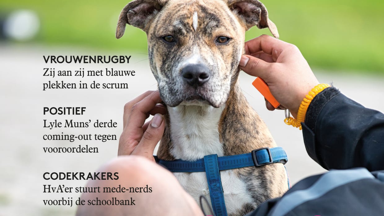 Folia 4: gevangenen met honden, rugbyvrouwen en Lyle Muns