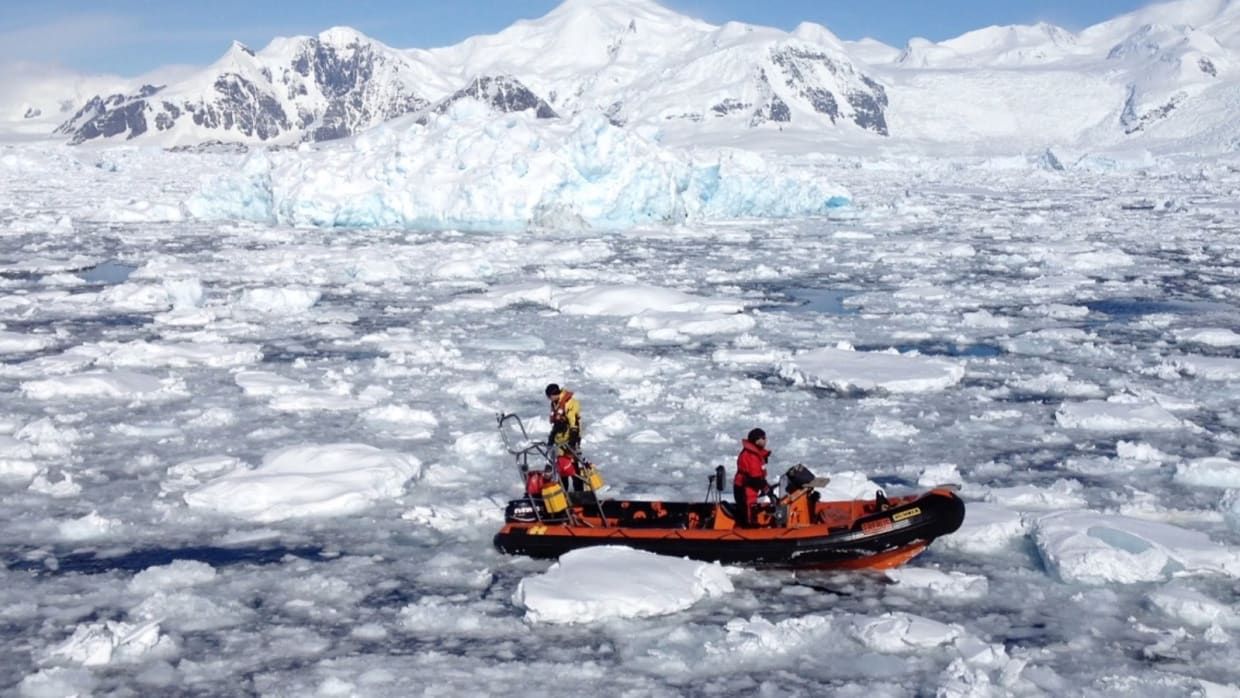 Kunnen microalgen het smeltende ijs op Antarctica redden?