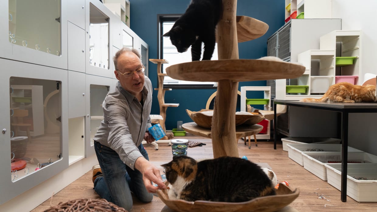 Maarten Reesink ‘socialiseert’ elke donderdagmiddag de katten bij Stichting Amsterdamse Zwerfkatten (SAZ).