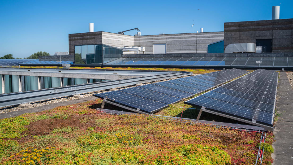 Zonnepanelen en een groen dak op het Science Park. 