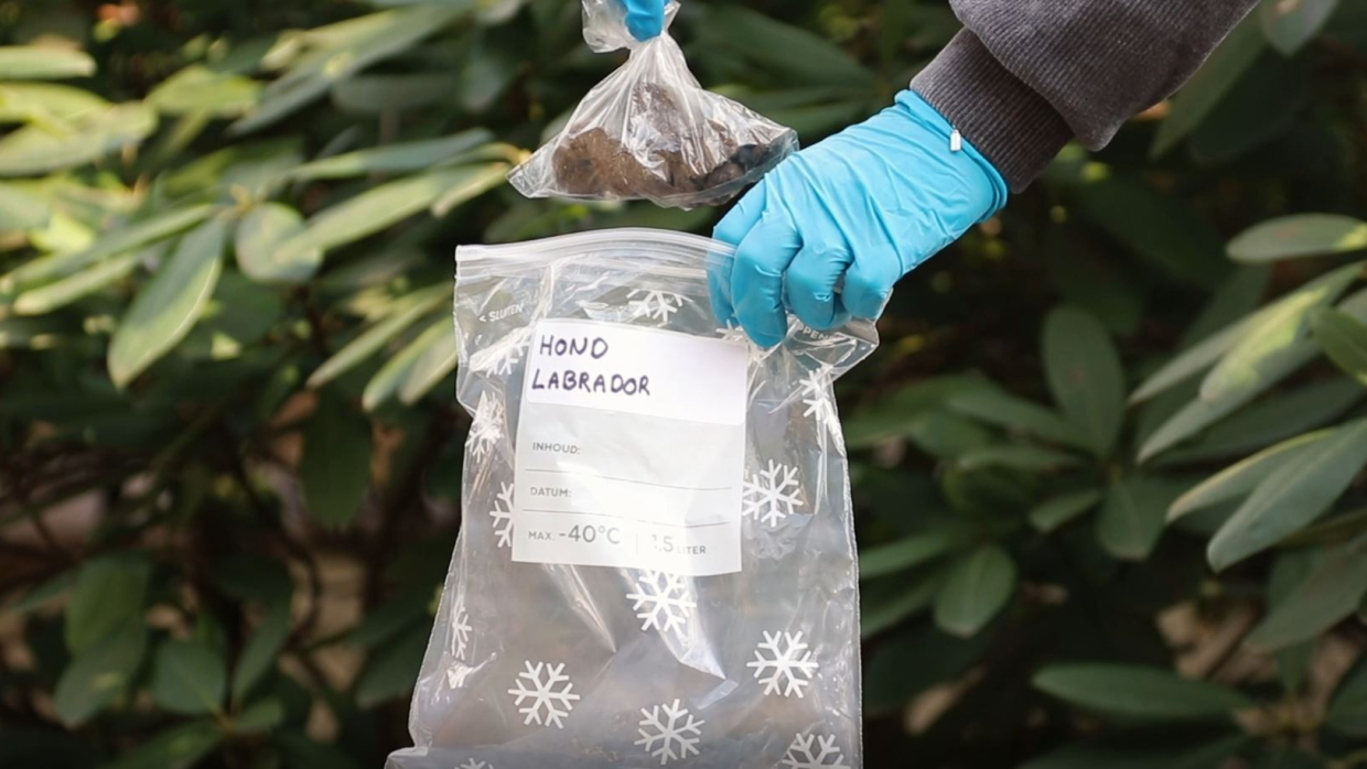 De uitwerpselen van de huisdieren werden ingeleverd in een boterhammenzakje met daaromheen een zakje met zipsluiting.