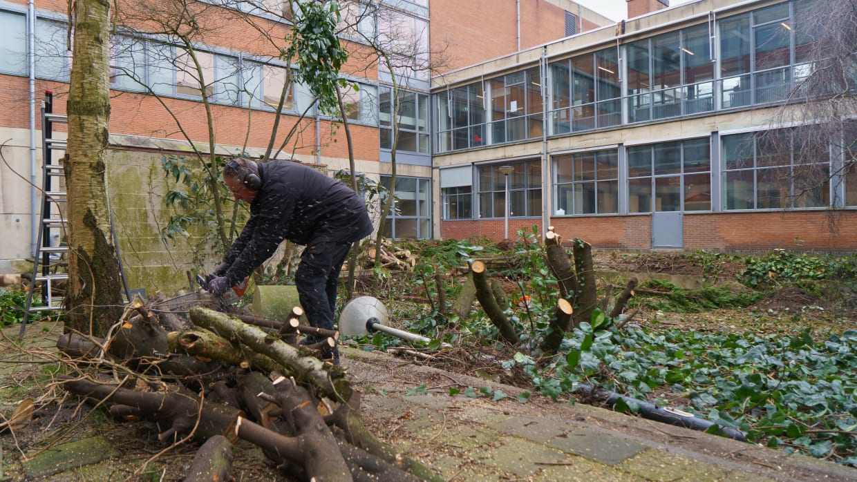 Vergroening in progress in REC J/K.