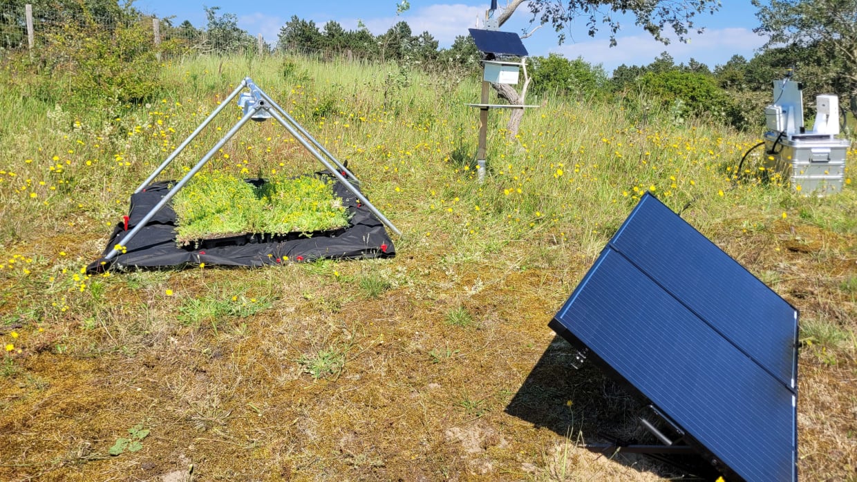 Testopstelling van verschillende insectencamera&rsquo;s.