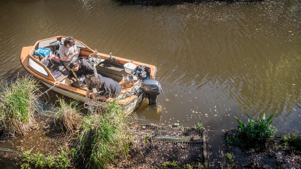 UvA-ecoloog Max Verweg, met masterstudenten Tol en Yasmin bij de watertuintjes in de Lijnbaansgracht.