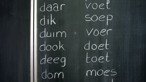 Volgens deze UvA-promovendus is dyslexie geen stoornis