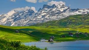Alpine zone in the Swiss Alps.