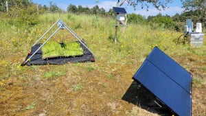 Testopstelling van verschillende insectencamera&rsquo;s.