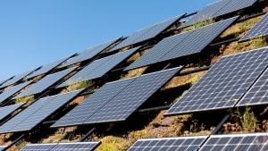 Zonnepanelen op Science Park