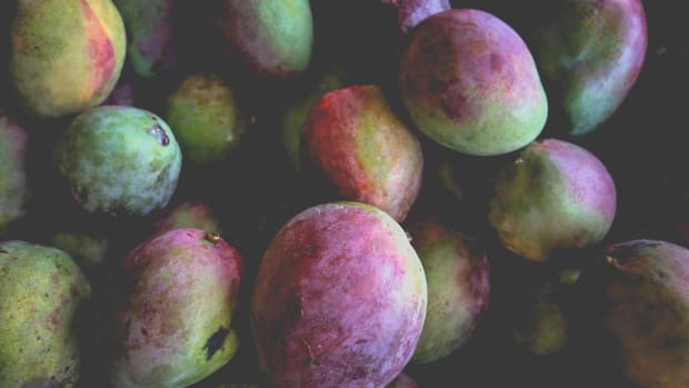 UvA-anthropologist: ‘Engineers want to solve problems, that's good. But there are also things to be learned from farmers'