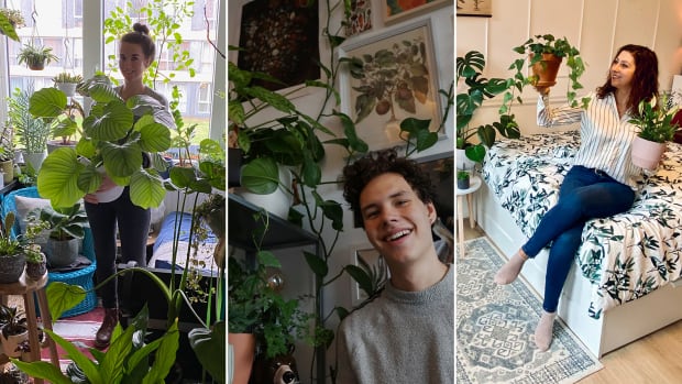 Een ‘urban jungle’ op 15 vierkante meter: ‘Voor leuke planten móet ik plek maken’ 