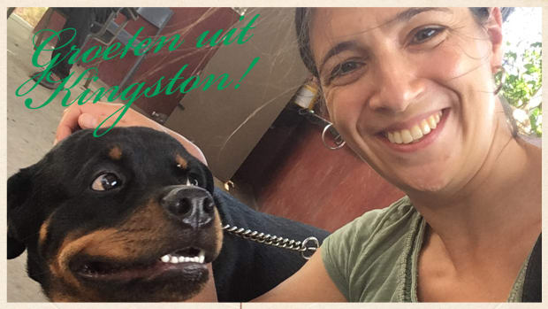 Hoogleraar Rivke Jaffe doet onderzoek op Jamaica: &lsquo;Kunnen honden racistisch of seksistisch zijn?&rsquo;