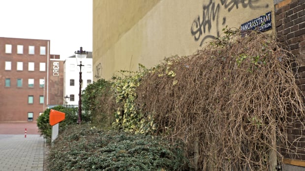 UvA-geheimen | Wat een straat zonder gebouwen verraadt over de historie van REC
