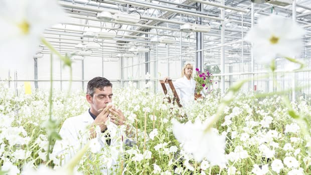 Op deze drie manieren brengt de UvA de klimaatdoelen dichterbij