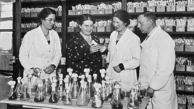 Volgend jaar zestien extra vrouwen in KNAW