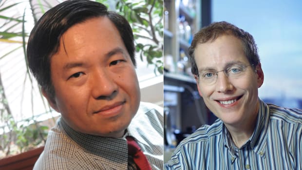 Eredoctoraten voor informaticus en epigeneticus