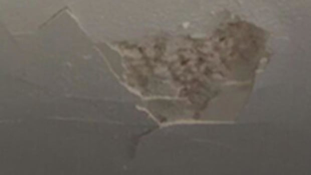 Vliering Maagdenhuis betreden - plafond beschadigd