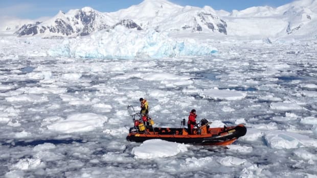 Kunnen microalgen het smeltende ijs op Antarctica redden?